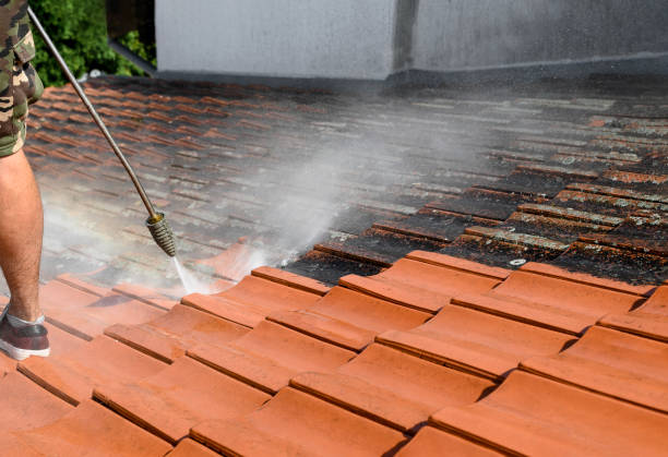 Roof Power Washing Services in Westwood, NJ