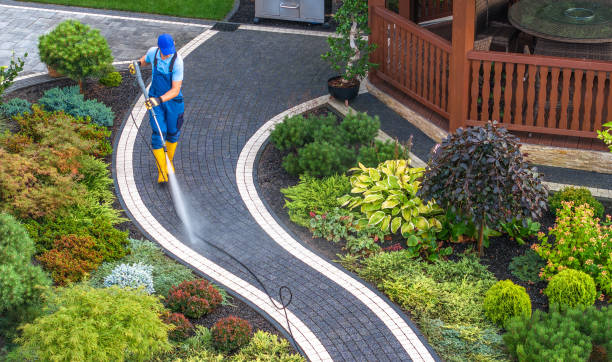 Best Pressure Washing Near Me  in Westwood, NJ